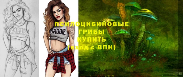 прущая мука Богородск