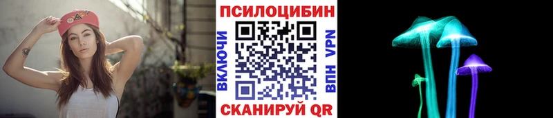 Псилоцибиновые грибы Psilocybe  купить  цена  hydra вход  Верещагино 